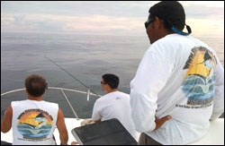 Nosara Paradise Rentals