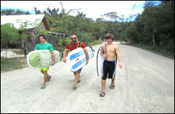 Nosara Paradise Rentals