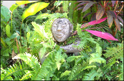 Nosara Paradise Rentals