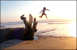 Nosara Paradise Rentals