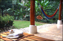 Nosara Paradise Rentals