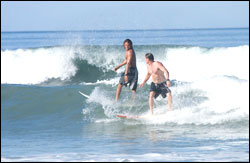 Nosara Paradise Rentals