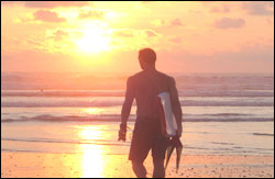 Nosara Paradise Rentals